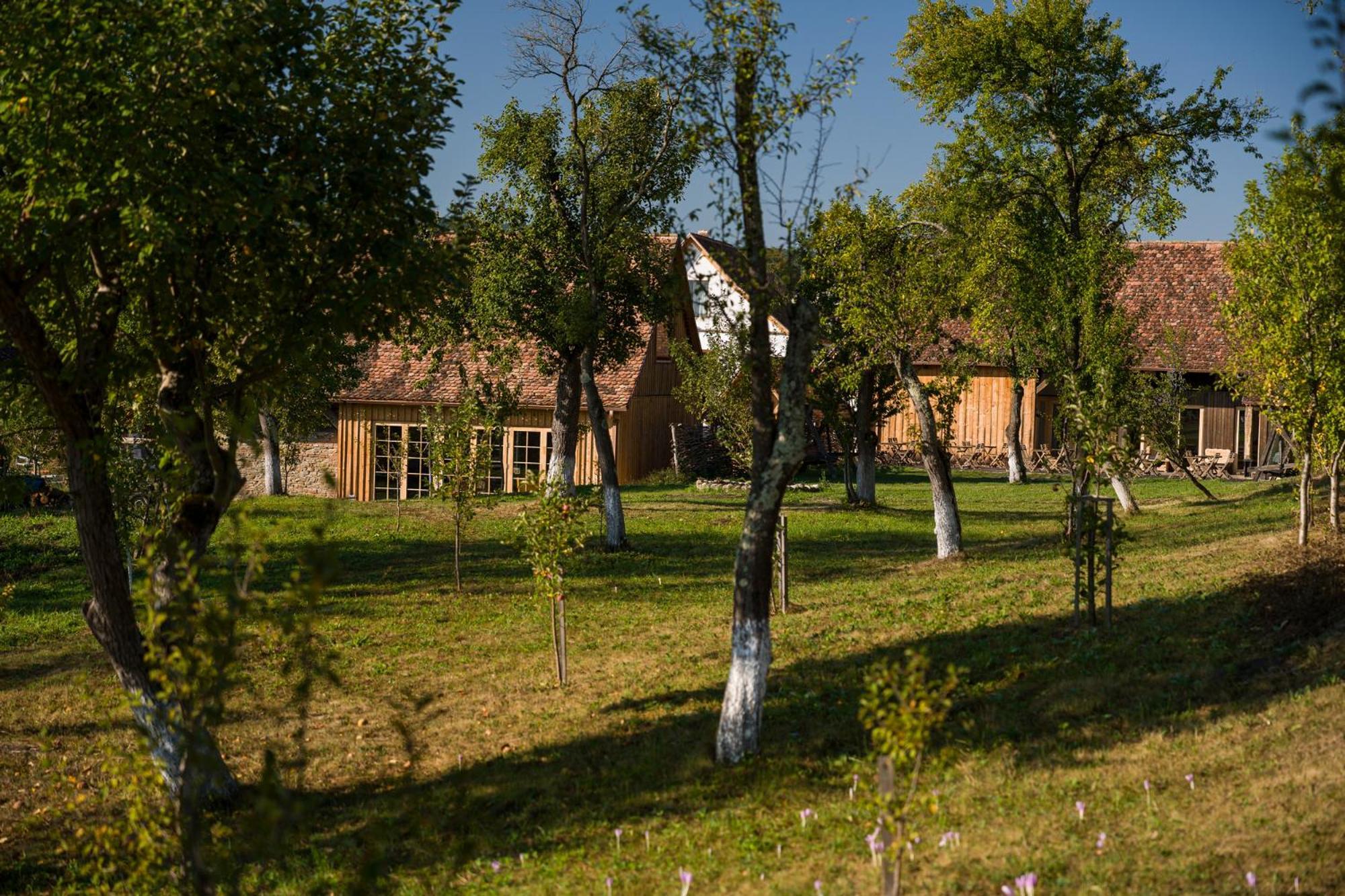 Mesendorf Gasthaus Екстер'єр фото
